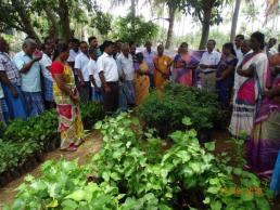 Tree plantation drive at DFI village