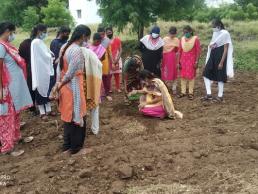 Demonstration on soil sampling