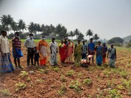 SC-SP scheme weeder performance