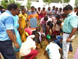 Tree plantation drive at NICRA village