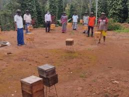 Bee keeping training