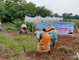 KVK, Namakkal cleaning of kvk