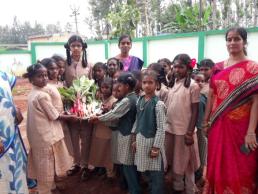 Harvested vegetables from Nutrigarden at KGBV School,Kollihills