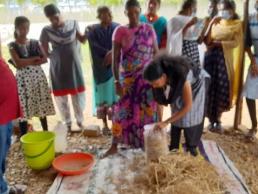 KVK, NKL Agrl method demo on oyster mushroom a