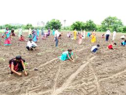 Tree plantation drive (1)