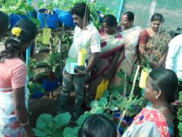 Paid training - Roof top garden