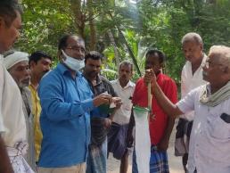 FLD paddy stem borer field visit