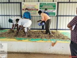 Silage making training