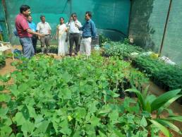 KVK, NKL cross learning programme of KVK Madurai a