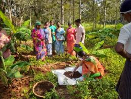 demo on soil sampling